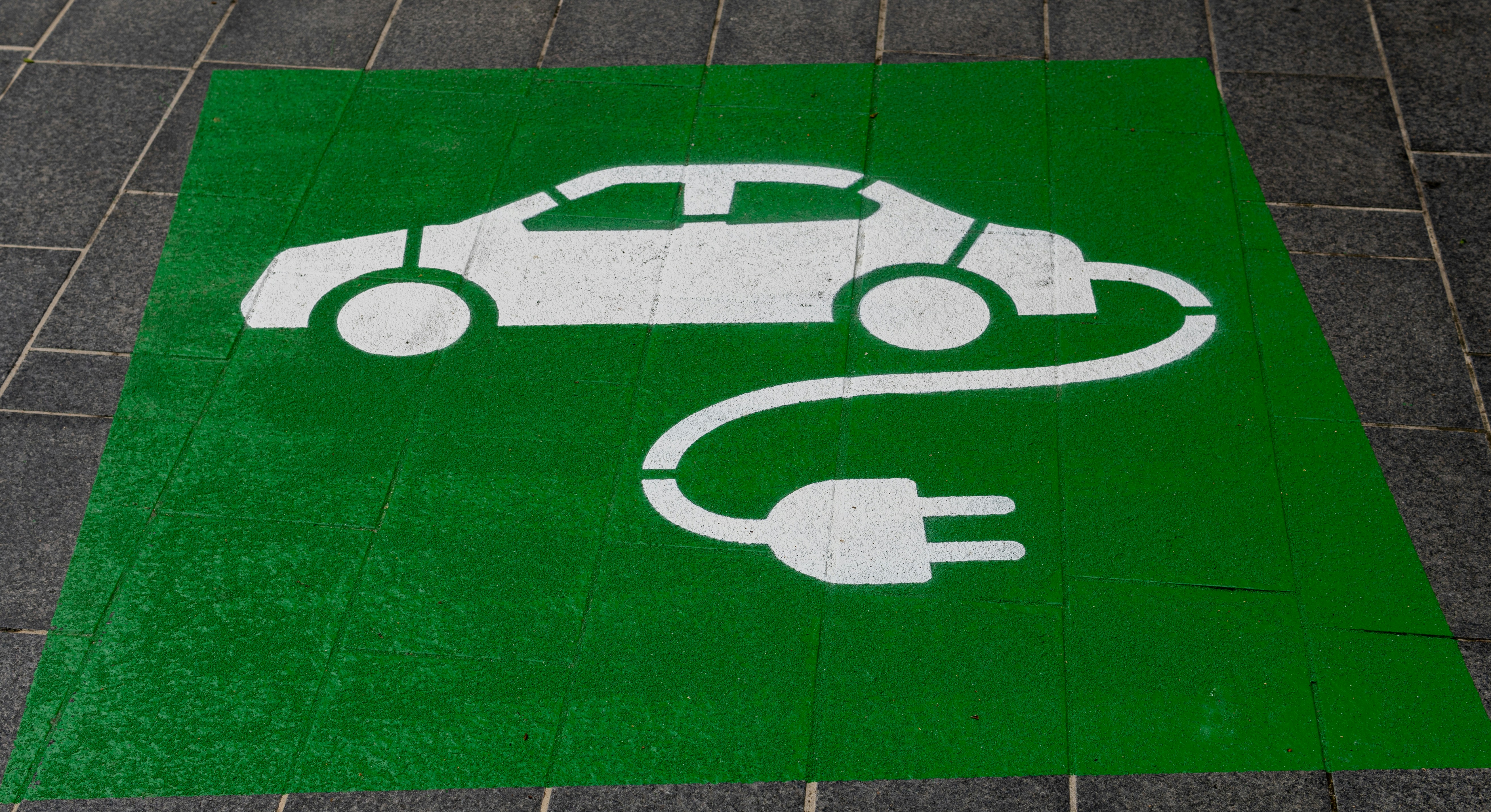 auto elettrica stemmino.jpg
